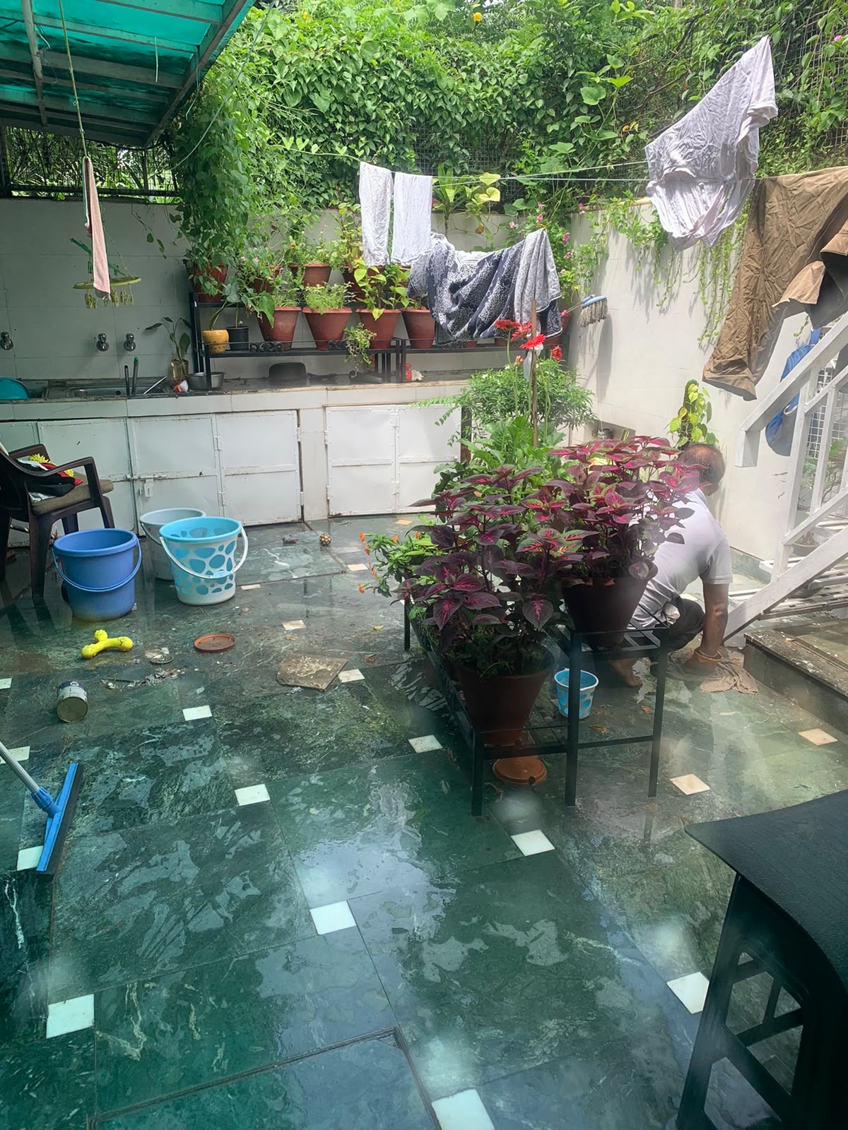 Professional cleaning